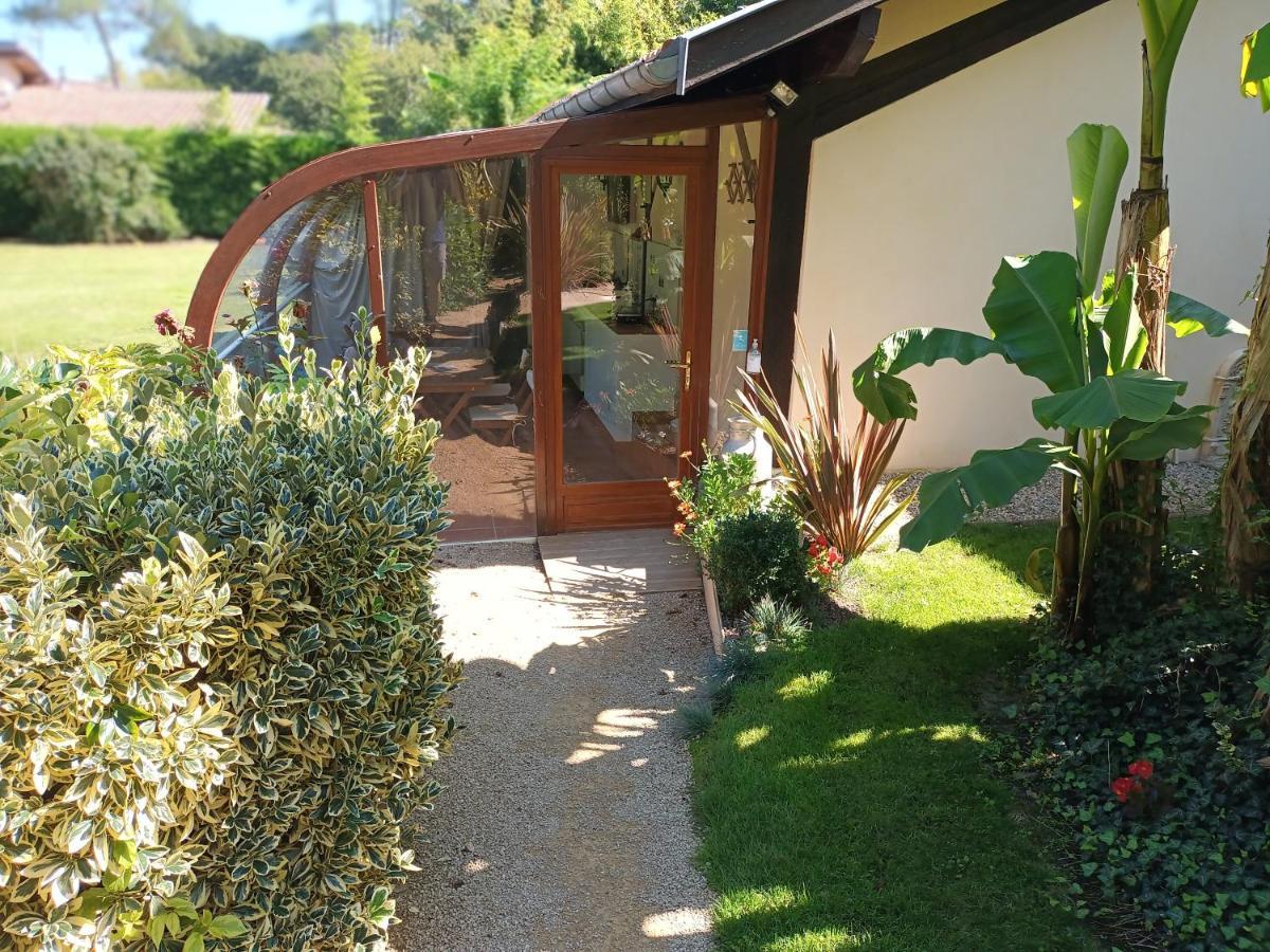 Chambre D'Hotes L'Airial Liposthey ภายนอก รูปภาพ